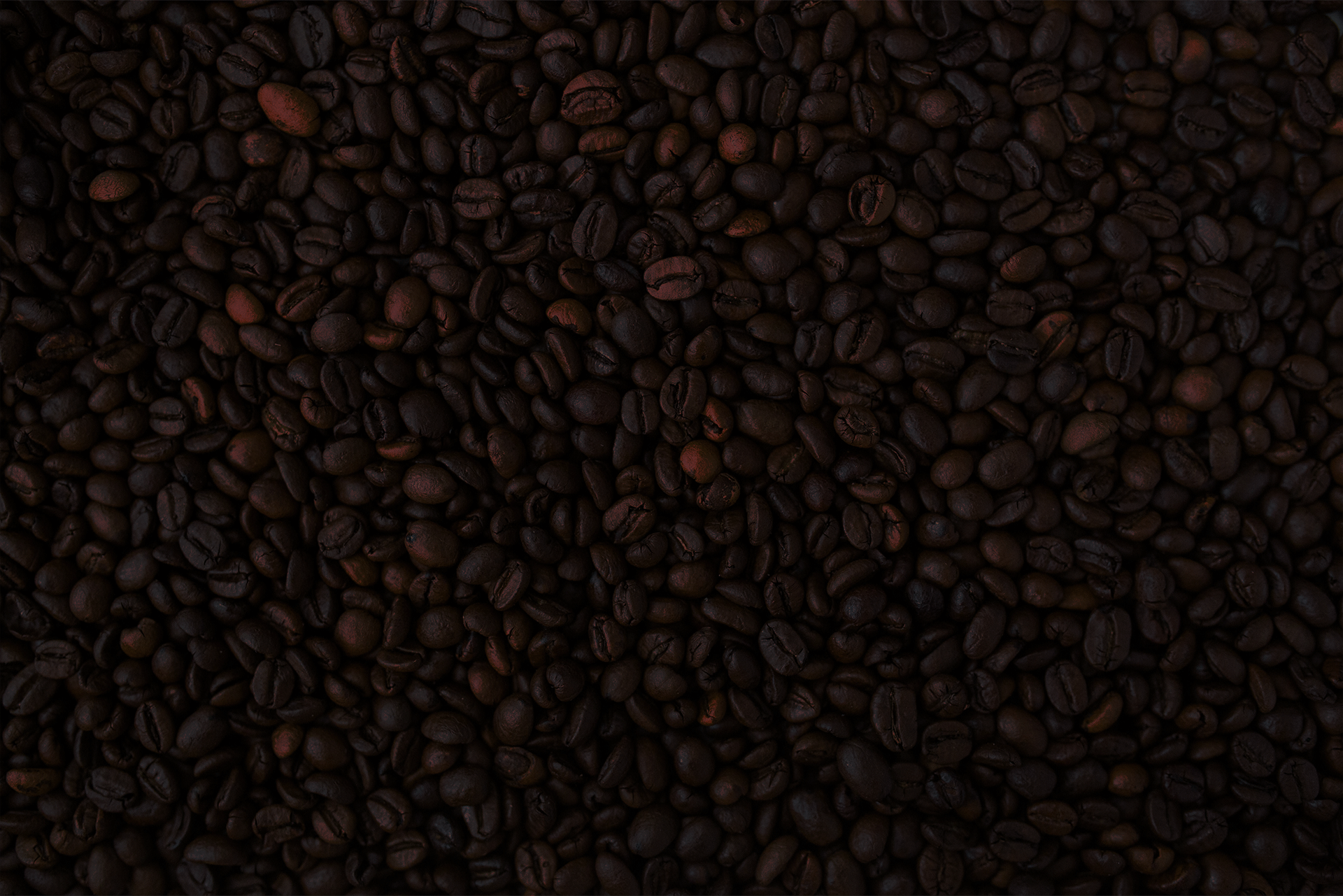 Fondo Slider 1